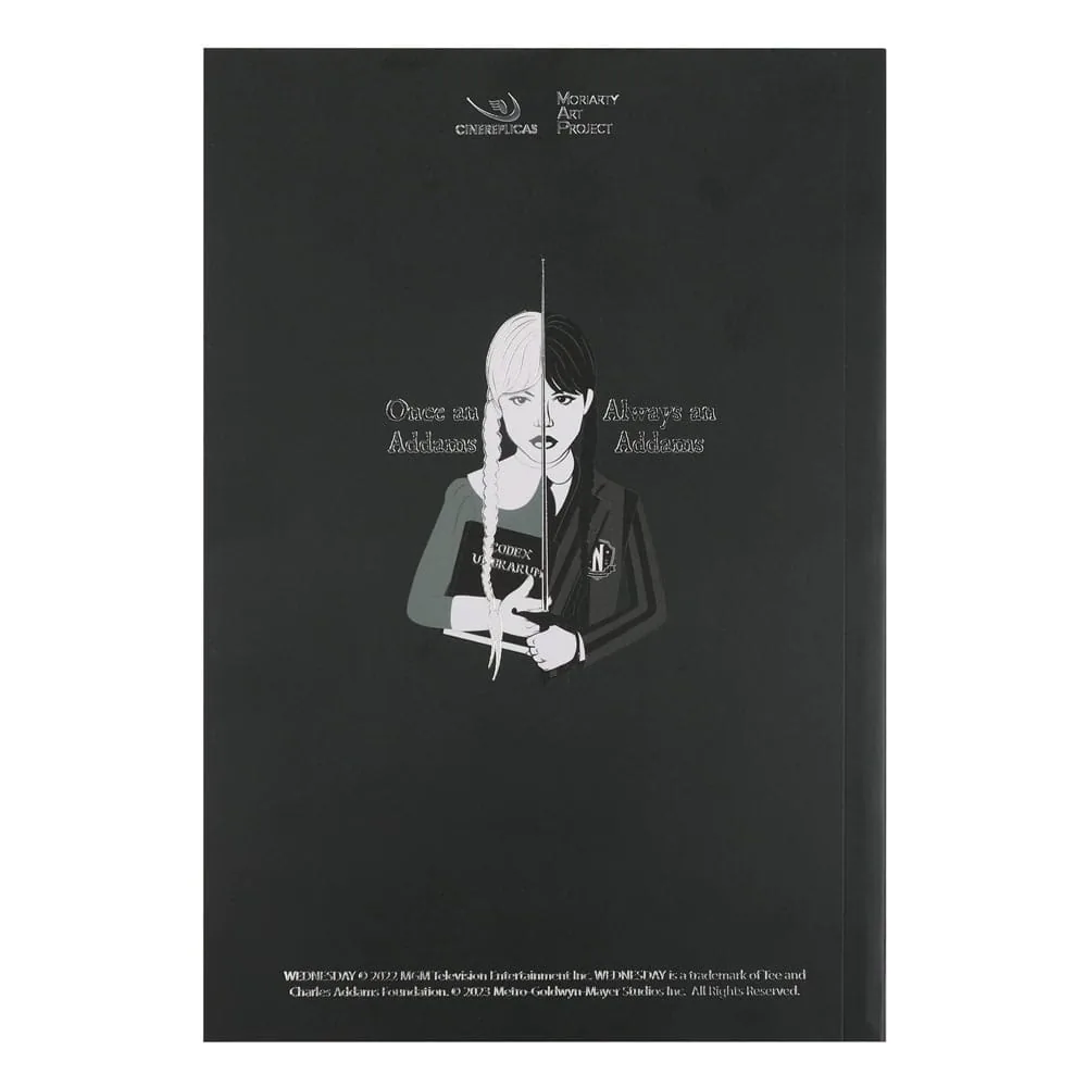 Carnet Mercredi Vitrail - Wednesday Nevermore Academy