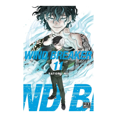 Wind Breaker T11