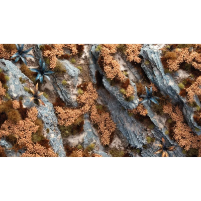 Autumn Shrubs - Feuillages d'automne Gamers Grass