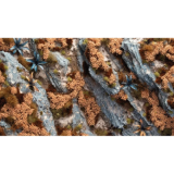 Autumn Shrubs - Feuillages d'automne Gamers Grass
