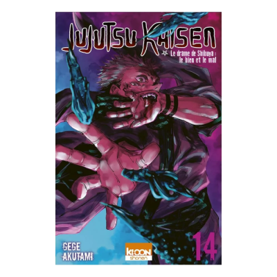 Jujutsu Kaisen T14