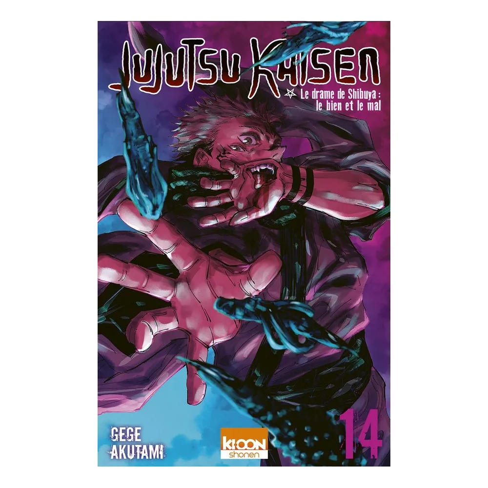 Jujutsu Kaisen T14