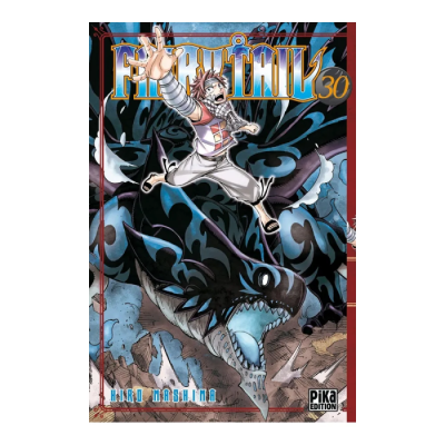 Fairy Tail T30