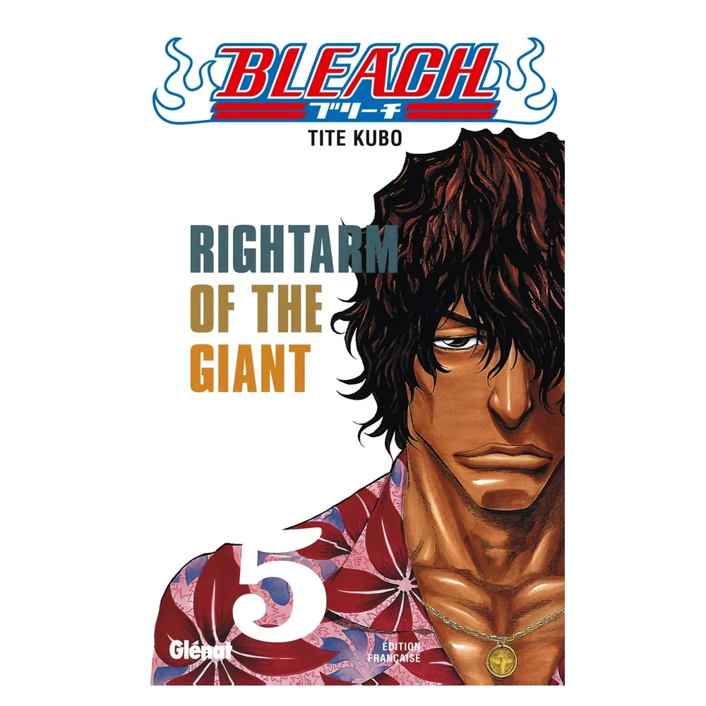Bleach - Tome 05 : Rightarm of the Giant