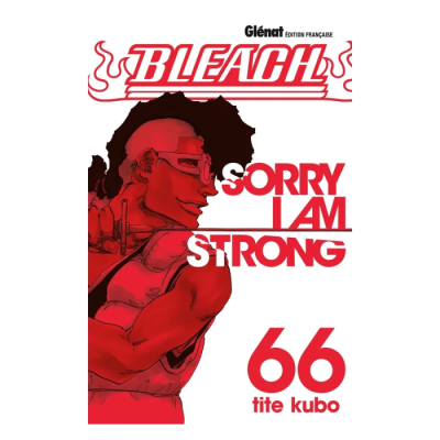 Bleach - Tome 66 : Sorry I am strong