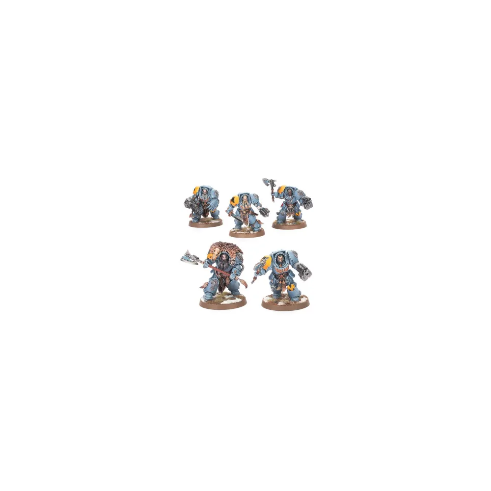Space Wolves: Wolf Guard Terminators