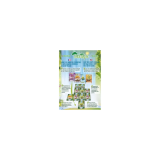 Treetopia - Jeu de cartes stratégique
